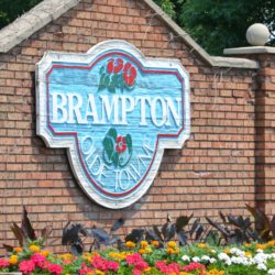 brampton1