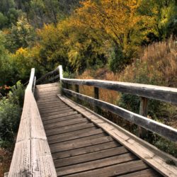 Staircase_North_Saskatchewan_River_Valley_Edmonton_Alberta_Canada_01